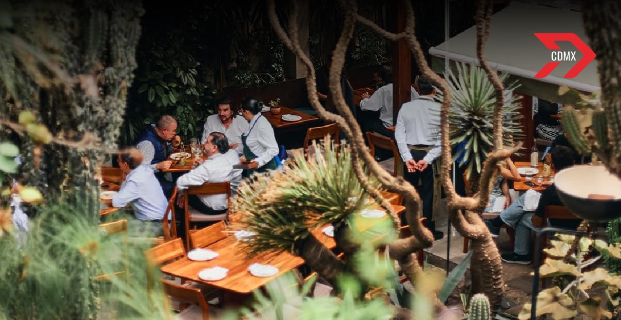 Las 5 mejores terrazas en CDMX para disfrutar la primavera
