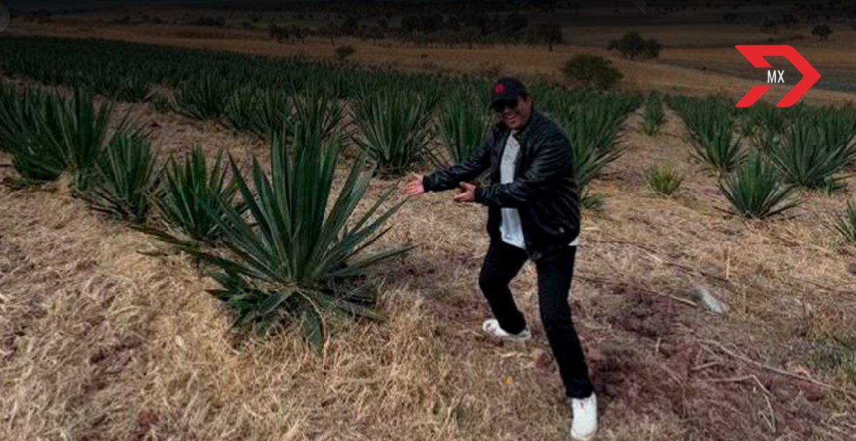 El tequila Clase 33 de Historia para Tontos desató críticas debido a su elevado precio y aquí te decimos cuánto cuesta.