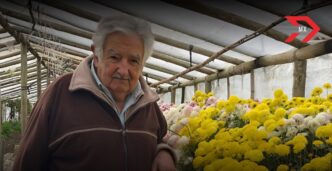 Desde la guerrilla hasta la presidencia de Uruguay esta fue La trayectoria de Pepe Mujica quién murió a los 89 años, víctima de cáncer.