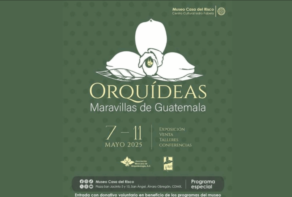 Expo Orquídeas: Guatemala ilumina la Casa del Risco en la CDMX