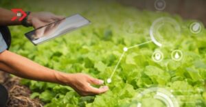 Tecnología agrícola revoluciona el sector agropecuario con IA