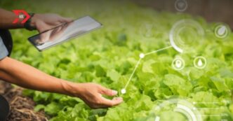 Tecnología agrícola revoluciona el sector agropecuario con IA