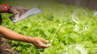 Tecnología agrícola revoluciona el sector agropecuario con IA
