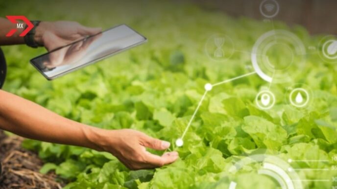Tecnología agrícola revoluciona el sector agropecuario con IA