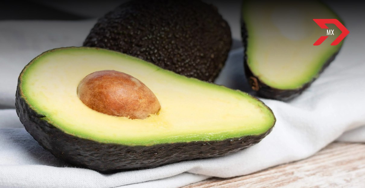 México rompe récord de exportaciones de aguacate este 2025