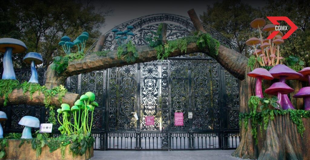 Hongos monumentales en Chapultepec