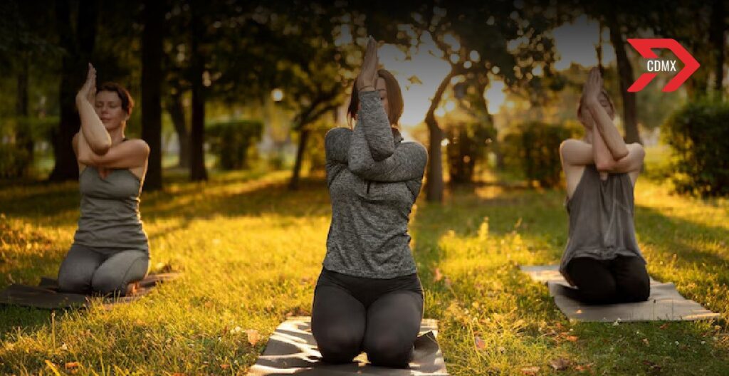 Yoga en el Bosque de Chapultepec