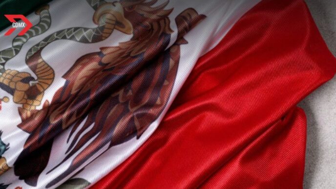 Mujer quema bandera