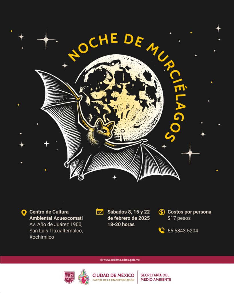 Noche de Murciélagos CDMX