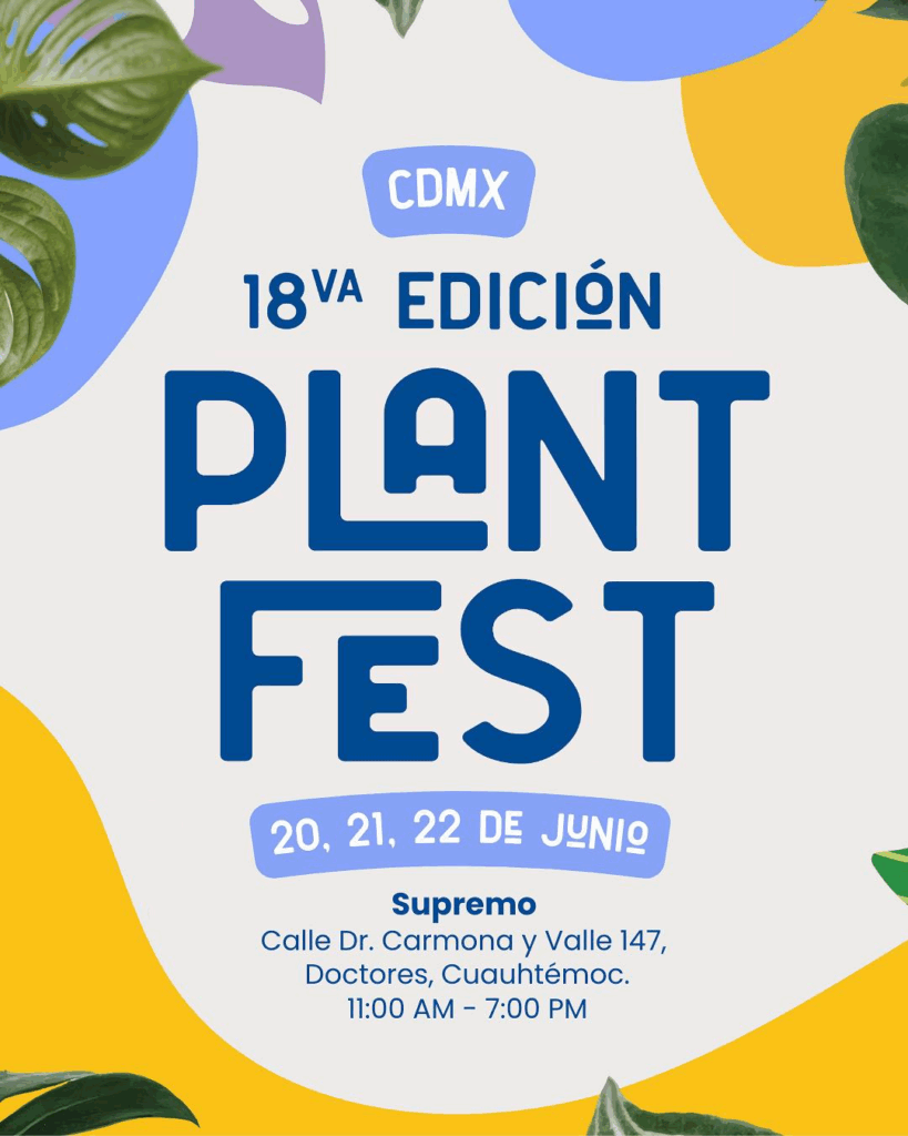 Foto: Plan Fest/Facebook