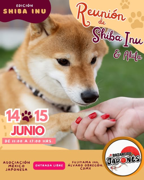 Asociación México - Japonesa
