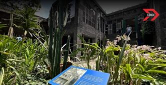 Noche de Museos celebra a Frida Kahlo: actividades especiales en la Casa Azul