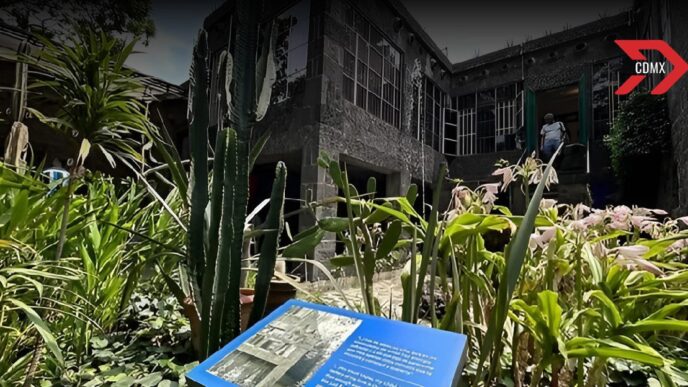 Noche de Museos celebra a Frida Kahlo: actividades especiales en la Casa Azul