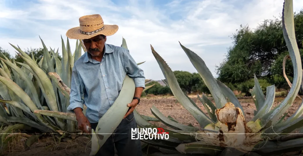 Mezcal y destilados mexicanos: Todo sobre el Festival Raíces Ancestrales 2025