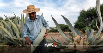 Mezcal y destilados mexicanos: Todo sobre el Festival Raíces Ancestrales 2025