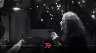 "No nos moverán": El filme mexicano que desafía a Hollywood
