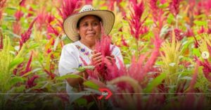 CLIC: la apuesta de Mercado Libre por alimentos mexicanos