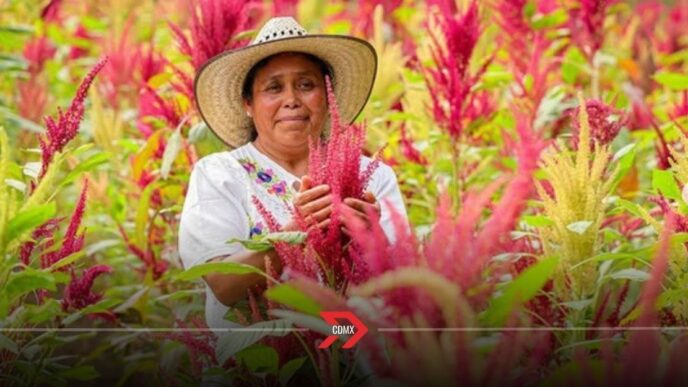 CLIC: la apuesta de Mercado Libre por alimentos mexicanos