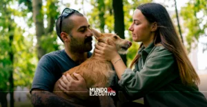Mascotas tendrán custodia compartida en divorcios