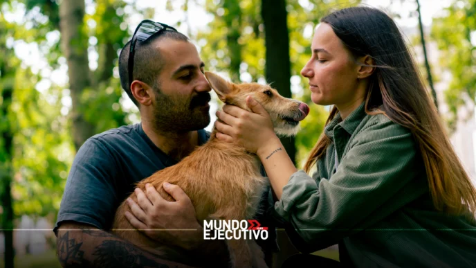 Mascotas tendrán custodia compartida en divorcios