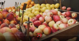 Feria de la Manzana 2025 en CDMX: Fechas, sede y todo lo que puedes disfrutar
