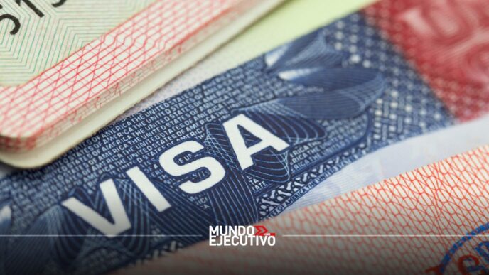 Visa electrónica: ¿Qué es, quién la necesita ? y cómo tramitarla paso a paso