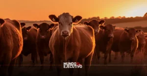 Gusano barrenador detiene exportaciones de ganado y genera pérdidas de 1,300 mdd en México
