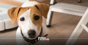 Ley de Vivienda