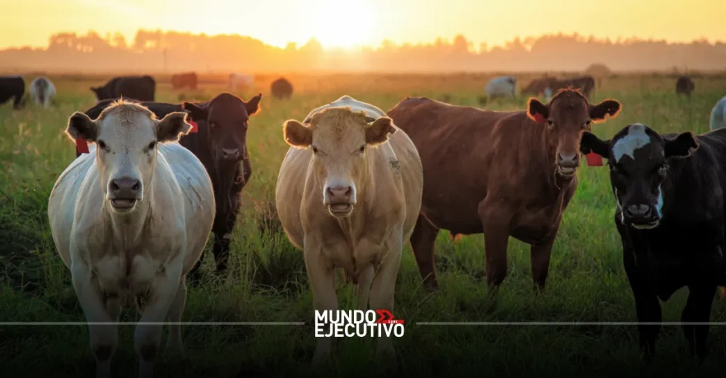 Texas insta al gobierno de Trump a permitir lo antes posible el ingreso de ganado mexicano