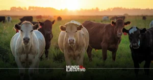 Texas insta al gobierno de Trump a permitir lo antes posible el ingreso de ganado mexicano