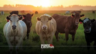 Texas insta al gobierno de Trump a permitir lo antes posible el ingreso de ganado mexicano