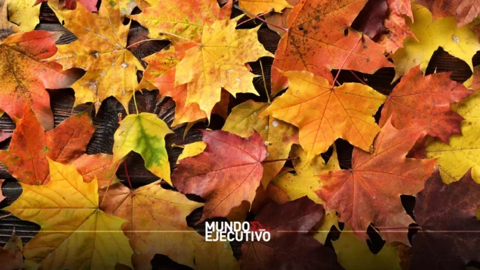 Clima hoy en CDMX. ¿Va a llover o hacer frío hoy 30 de octubre de 2025?