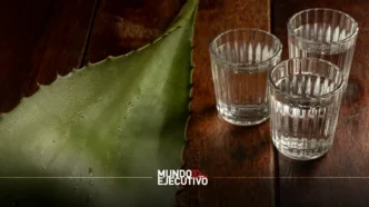 ¿Cuándo y dónde será el Mezcalfest.MX 2025?