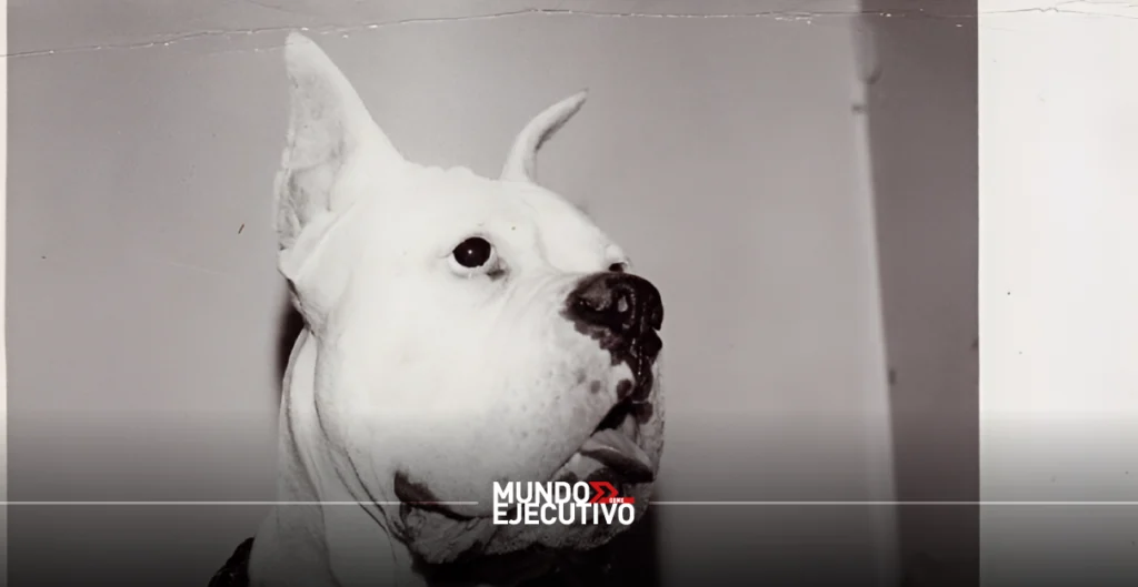 La Casa del Lago de la UNAM inaugura exposición con obras de Andy Warhol