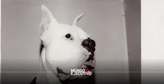 La Casa del Lago de la UNAM inaugura exposición con obras de Andy Warhol