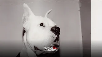La Casa del Lago de la UNAM inaugura exposición con obras de Andy Warhol