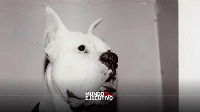 La Casa del Lago de la UNAM inaugura exposición con obras de Andy Warhol