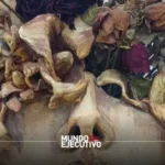 BADA abre su convocatoria 2026 para jóvenes artistas