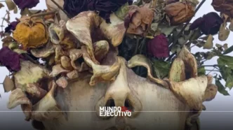 BADA abre su convocatoria 2026 para jóvenes artistas