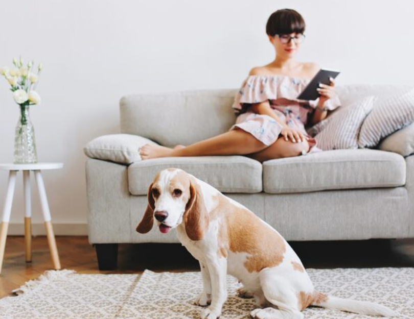 La Ciudad de México dio un paso histórico en materia de derechos habitacionales al publicar este lunes 27 de octubre en la Gaceta Oficial una reforma a la Ley de Vivienda