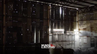 Up Sí Vale transforma Tijuana con el arte de Ingrid Hernández