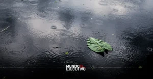 ¿Va a llover el fin de semana del 24 al 26 de octubre de 2025 en CDMX?