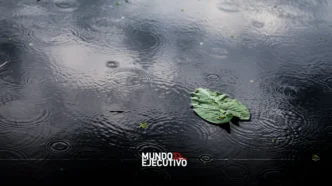 ¿Va a llover el fin de semana del 24 al 26 de octubre de 2025 en CDMX?