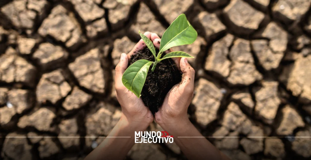 ONGs de México piden una política ambiental integral vinculada a la lucha contra la pobreza