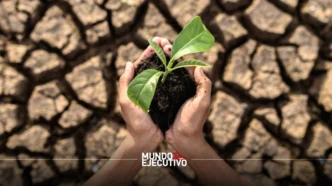 ONGs de México piden una política ambiental integral vinculada a la lucha contra la pobreza