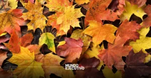 Clima hoy 4 de noviembre de 2025 en CDMX: ¿Va a llover o hará frío?