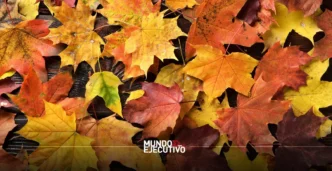 Clima hoy 4 de noviembre de 2025 en CDMX: ¿Va a llover o hará frío?