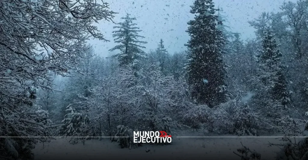 ¿Dónde ver nieve en México? 5 destinos mágicos para vivir el invierno