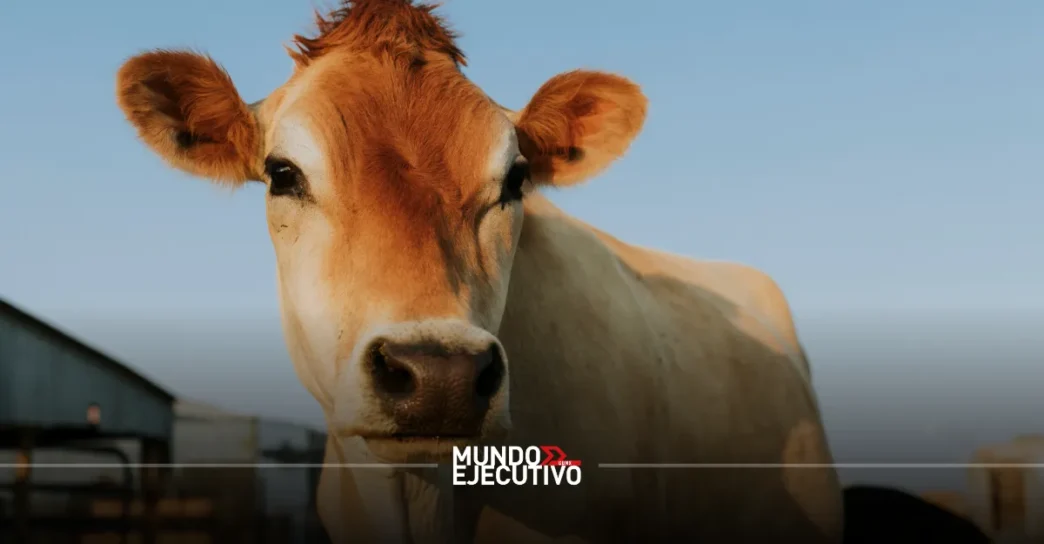 Sanidad Animal en México: Refuerzan dispositivo de emergencia ante brotes de Gusano Barrenador