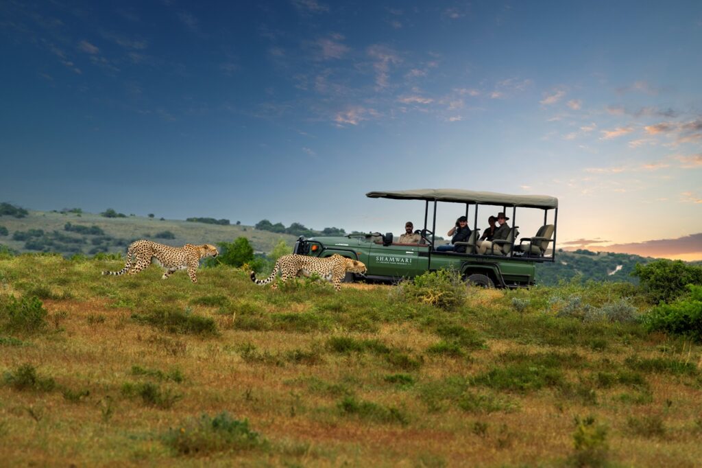 Sudáfrica fortalece su turismo con un safari de lujo